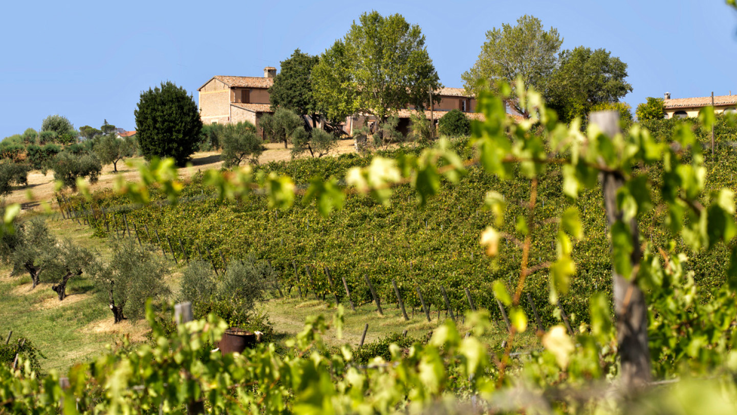 Tenuta Sant’Aquilina